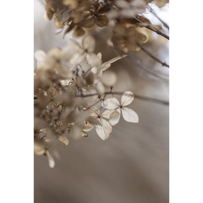 Wrapped Canvas Print, 81.28 cm H x 121.92 cm W