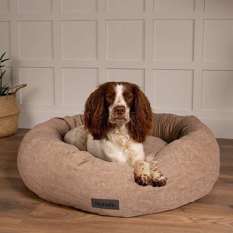 Polyester Pet Bed, Light Brown, Extra Large (32-40kg)