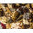 Eelijah Abstract Indoor Rug-73867176