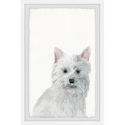 « little white dog » par parvez taj,-cadre photo imprimé sur papier