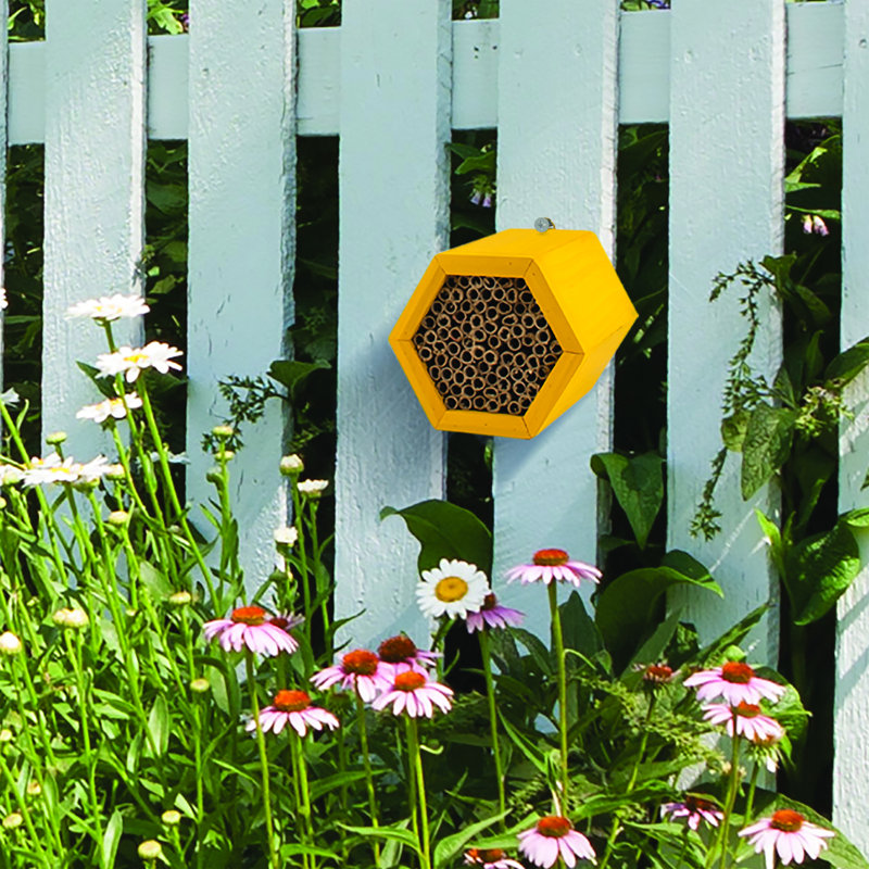 Beekeeping Beehive Accessory