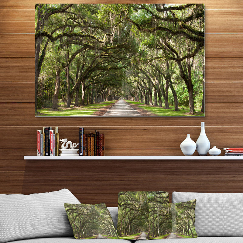 Live Oak Tunnel - Imprimé, H 34 po x l 44 po x P 1,5 po, Sans cadre en métal