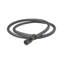 Rain Shower Head-1917643364