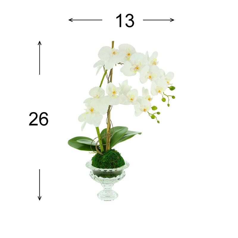 Orchids Floral Arrangements and Centerpieces in Vase