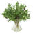 Olive Branches Arranged in a Glass Vase