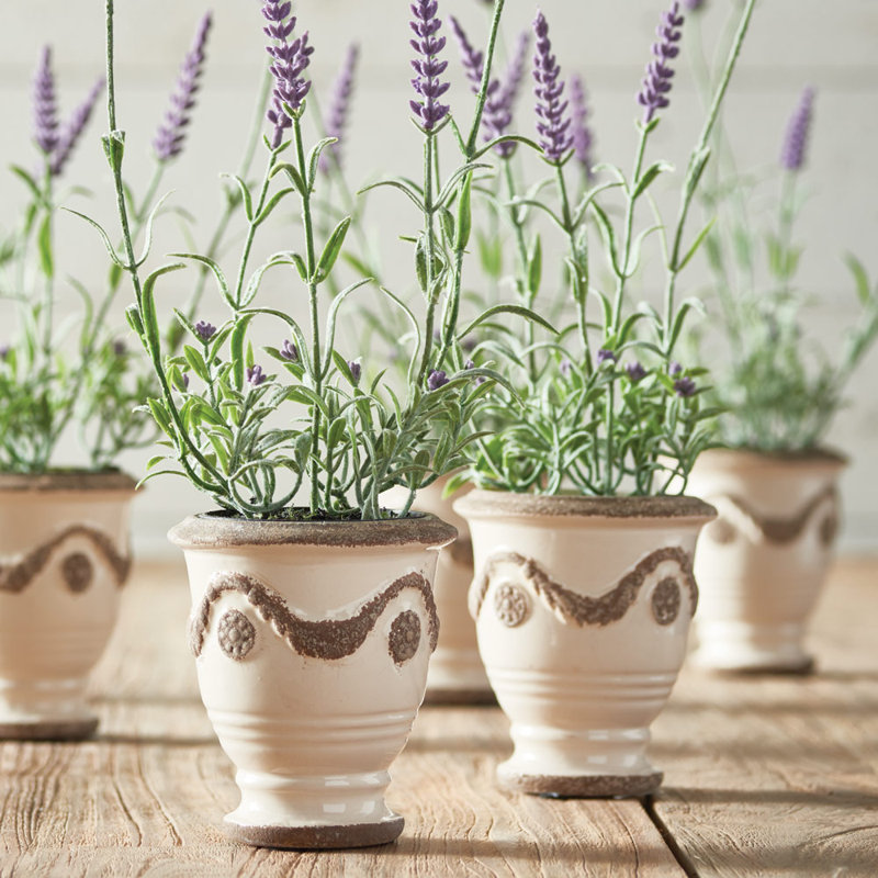 French Lavender Floral Arrangements in Pot
