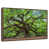 Floating Frame Walnut