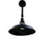 Schwarz 1 - Light Dome Pendant