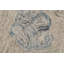 DAISY 9096-845 BEIGE/SAGE-112882525