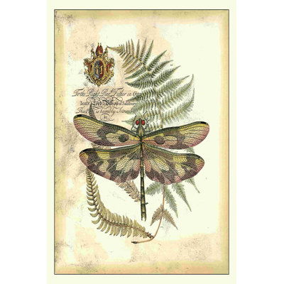 Libellule royale IV
