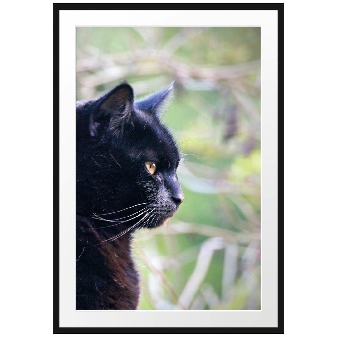 Gerahmtes Poster Schwarze Katze