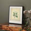 Impression florale rétro sur papier-956840453-956840458