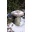 Couvre-fontaine-1874126232-1874126247