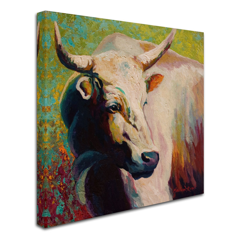 «White Bull Portrait» par Kucera, reproduction d'art sur toile tendue, H 14 po x l 14 po