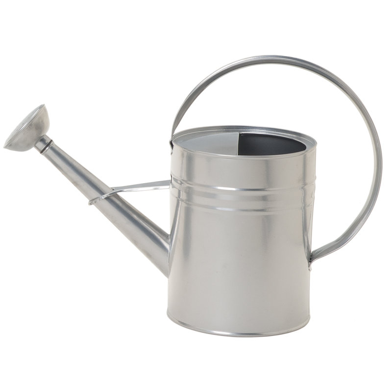 Arrosoir en acier galvanisé émaillé 1 gallon, Argent argent