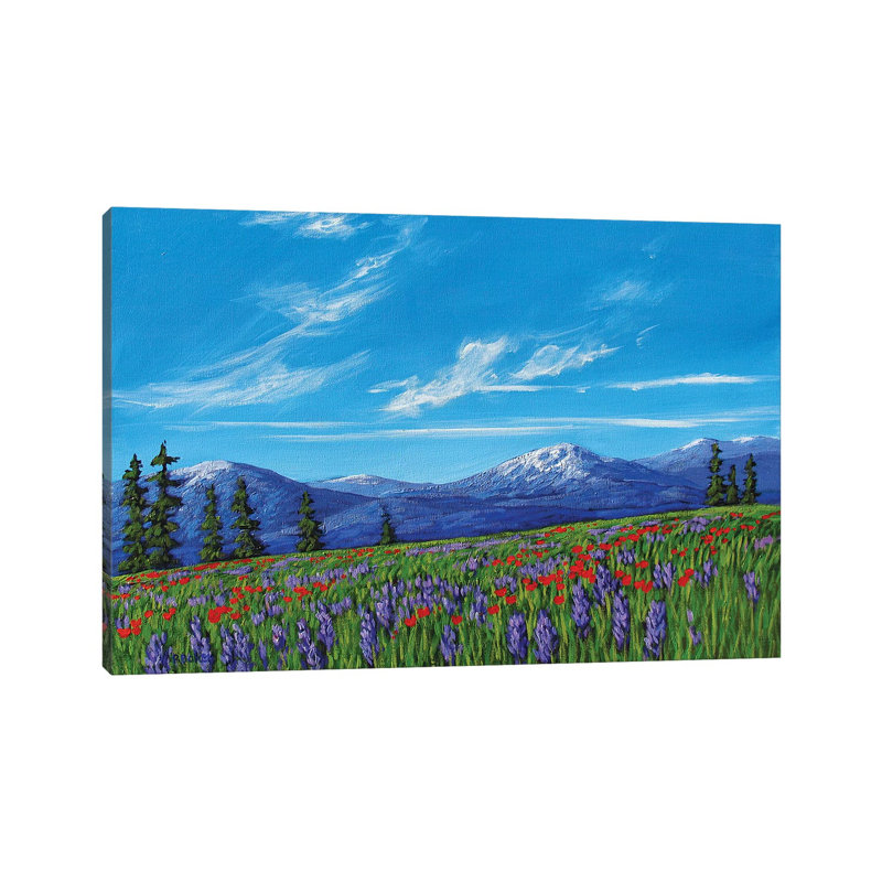 Colorado High Country Wildflowers - Wrapped Canvas Print, 20.32 cm H x 30.48 cm W