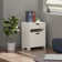 19.2'' Wide 2 -Drawer File Cabinet