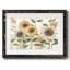 Sunflower Surprise, reproduction d'art encadrée-1633541284-1633541287