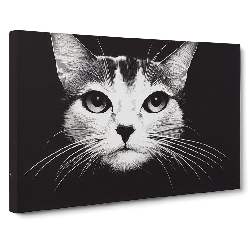 Magical Cat - Wrapped Canvas, 40cm H x 60cm W x 3cm D