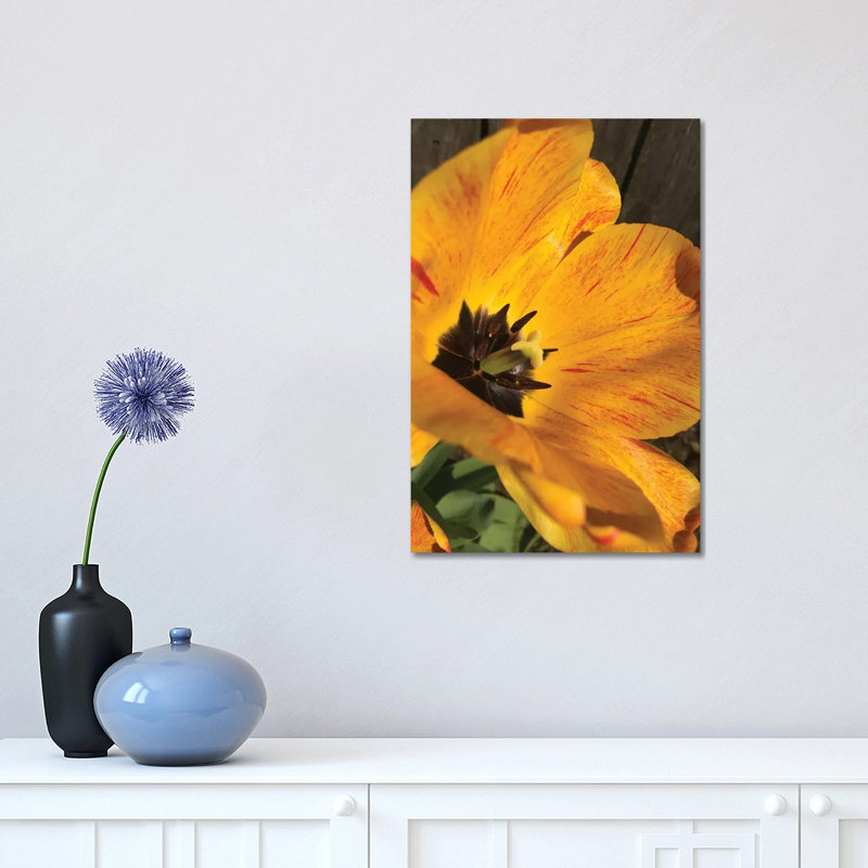 Full Sun II 1 Piece Wrapped Canvas Wall Art, 45.72cm H x 30.48cm W x 1.905cm D