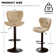 Swivel Adjustable Height Modern Bar& Counter Stool