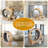 Large Silent Cat Exercise Wheel And Treadmill For Indoor Cats