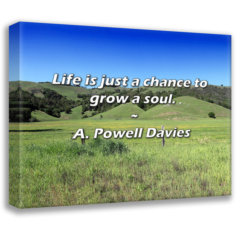 A. Powell, citation de Davies: La vie est juste une chance de faire grandir une âme., H 26 po x l 32 po
