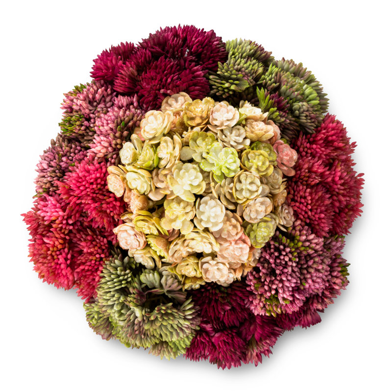 Functional Beauty Sedum Arrangement, Red/Beige/Green