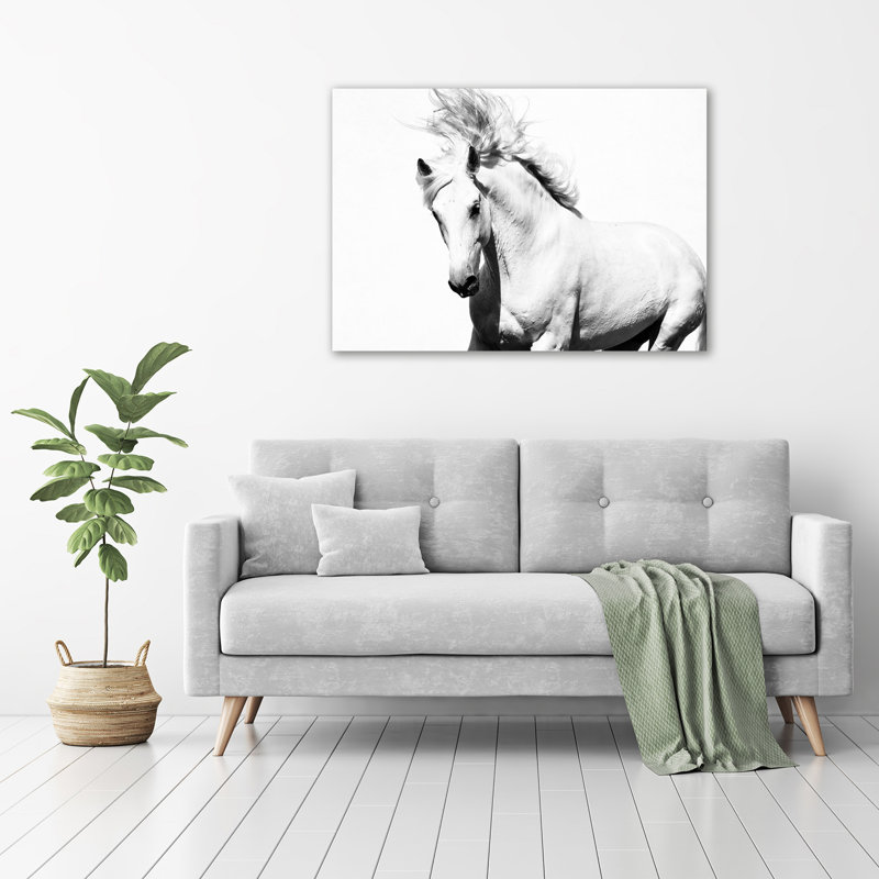 White Horse - Wrapped Canvas Print