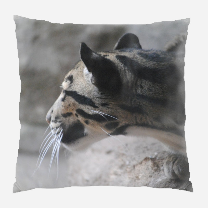 Coussin de jeté jaguar, Intérieur