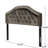 Grey Velvet Headboard For Full Sized Beds, Manifesting Button Tufting Artistry Nailhead Beauty & In Velvet, Illustrating Class Distinction-1561490602-1561490601