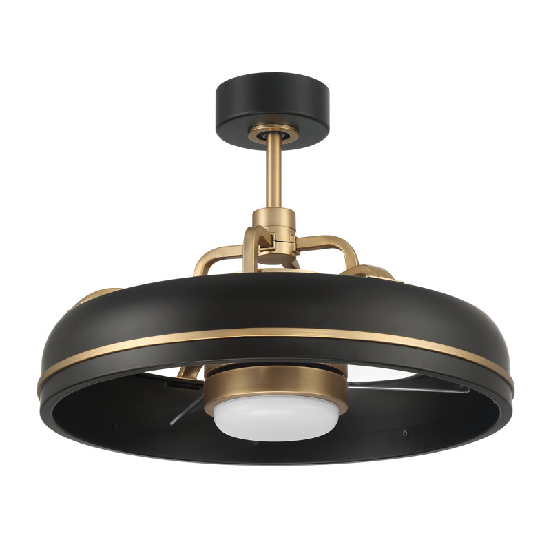 Taylor 20'' Flat Black and Satin Brass Ceiling Fan with LED Light and Remote