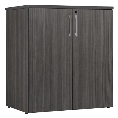 Nevjana Office Storage Cabinet