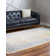 Folmar Oriental Indoor Rug