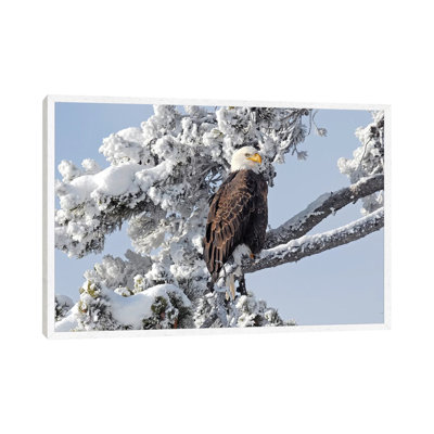 Winter Eagle 1 Piece Floater Frame Wall Art on Canvas