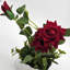 Natsue Hydrangea Arrangement in Vase