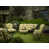 Royce Garden selected