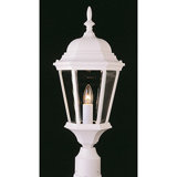 Nelligan Lantern Head