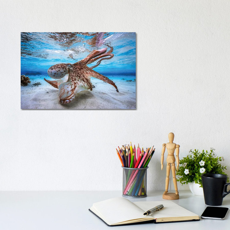 Dancing Octopus - Photographie sur toile tendue, H 8 po x l 12 po x P 0,75 po