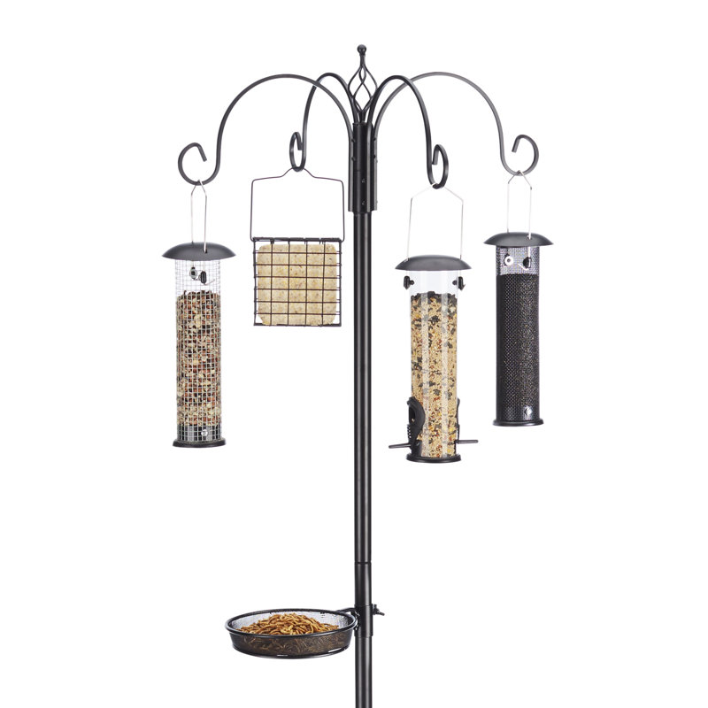 ULTIMATE BIRDFEEDING STATION