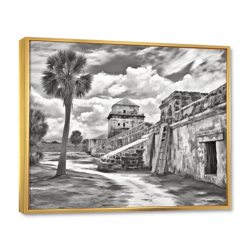 Noir et blanc Florida Sunshines State II, H 12 po x l 20 po x P 1 po, Cadre flottant doré