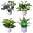 Faux Bonsai Plant in Plastic Pot-812064287-806538073