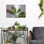 «Botanical» par Dennis Frates-100551118