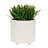 S/2 6/8" Textured Planters-1164898299