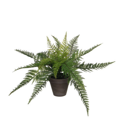 varen 38 cm H Faux Plant