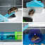 Cage à hamster 23 po - 5 avec tubes, tunnels et poignées de transport, plat à nourriture bleu, très grand