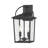 Strathden 17" High 2-Light Outdoor Lantern-367640600