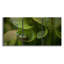 Turnabout - 3 impressions sur toile tendue-166235300