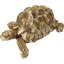 Turtle Large Decorative Figurine-39125163