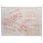 Tapis saumon Xhevrie intérieur / extérieur lavable à la machine-1676034628